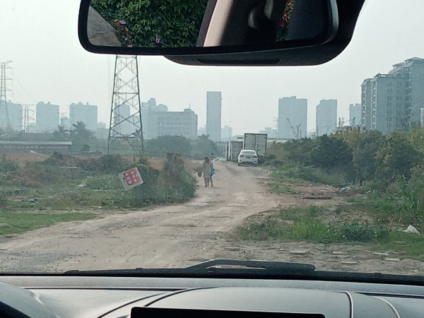 找對地方撿花，買花錢能少一半，你都知道從哪撿花嗎