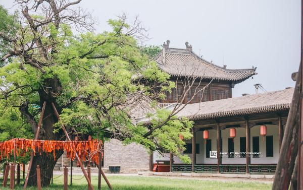 山西一座被低估的真古城，連政府都藏著千年古蹟，遊客可隨意進入