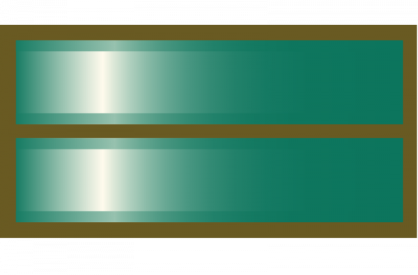 智利警銜標識 智利警銜標識