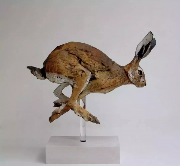 “年度野生動物藝術家”眼中的奇妙動物