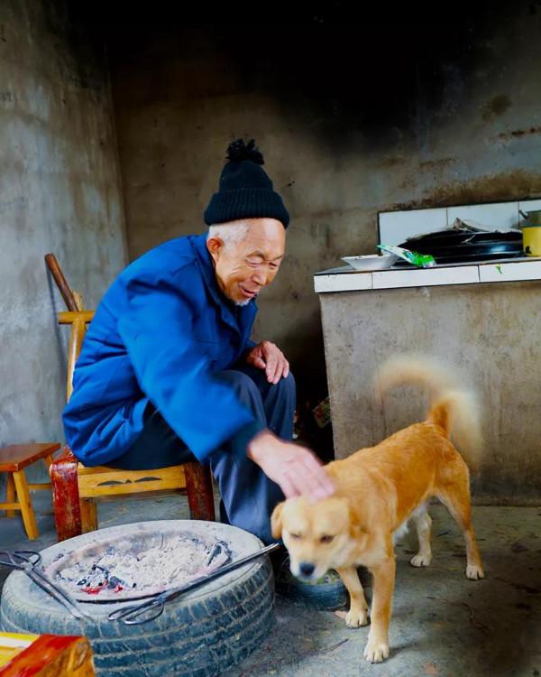 2019年,大黑狗思念主人,每天上山拜墳 2019年,大黑狗思念主人,每天上山拜墳