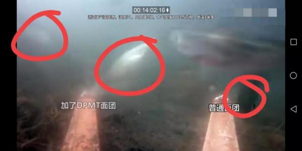 你為爆護做哪些？全是割韭菜的痕跡#八卦##垂釣#