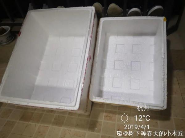 連陰雨天氣，最適合扦插，成活率超高