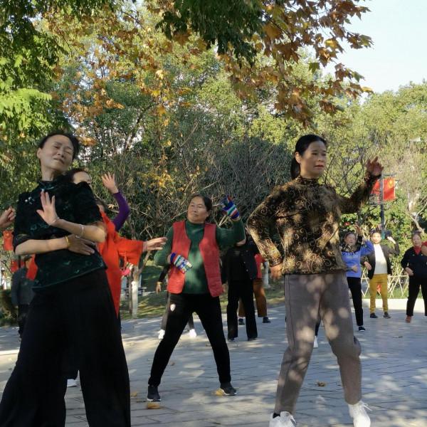 歡樂的紫舞公園