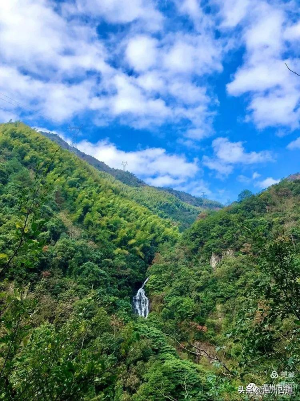 這條被譽為“浙江西南第一嶺”的紅楓古道你去過嗎？