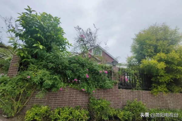 簡陽市2021年&OpenCurlyDoubleQuote;十佳五美庭院&rdquo;重磅出爐