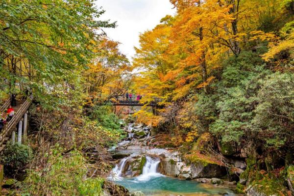 黑熊溝——四川光霧山