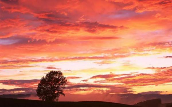 分享圖片：落日美景，令人震撼