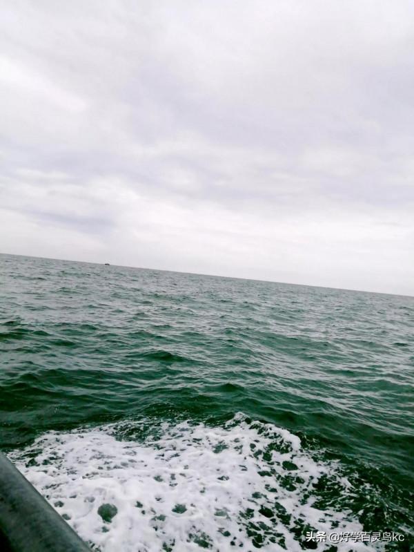 體驗出海打漁的樂趣 體驗出海打漁的樂趣