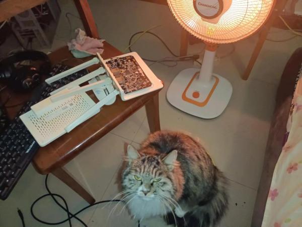 360P4G路由器拆機，看看是不是漏油導致WiFi訊號能連線卻沒流量