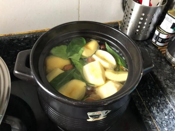 秋風起,咳嗽痰多?介紹一味嶺南特色中草藥 秋風起,咳嗽痰多?介紹一味嶺南特色中草藥