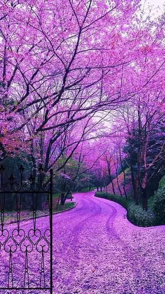 世界很大，風景很美，而你卻不是那個想走就走的人