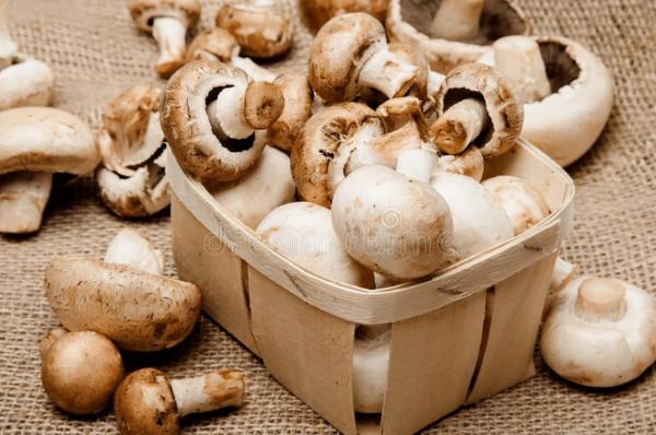 人到中老年，別捨不得花錢，建議5種食物要常吃，易消化營養全