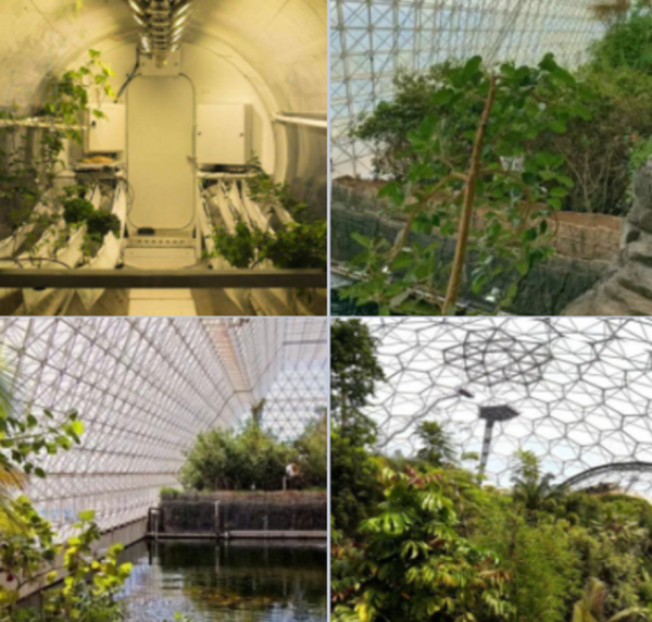 4男4女曾進行封閉空間實驗,結果發現,人類被一直“困”在地球? 4男4女曾進行封閉空間實驗,結果發現,人類被一直“困”在地球?