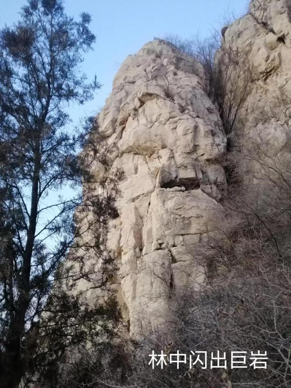 &dollar;&period;006&period;頂遊五峰山