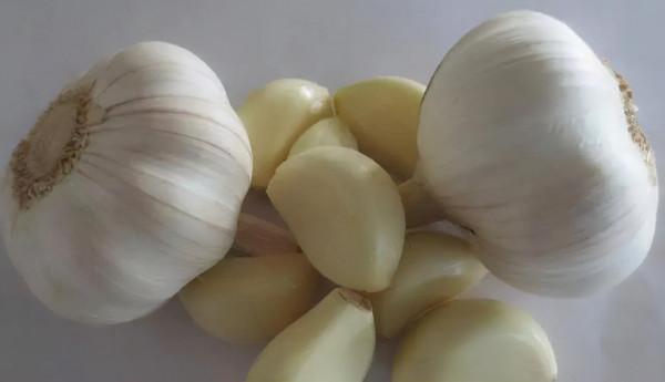 被過度神化的4種釣魚餌料，我已經替你們試過