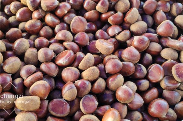 明日中秋,家裡再差錢,也要記得吃“6樣寶”,健康團圓過中秋 明日中秋,家裡再差錢,也要記得吃“6樣寶”,健康團圓過中秋