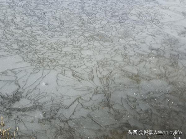 通州綠心森林公園南有個超大公園，免費停車免門票免費滑冰