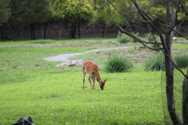 遇見避暑山莊,感受時光之美…… 遇見避暑山莊,感受時光之美……