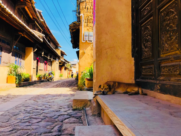 春節假期，咱彌渡有這些好去處