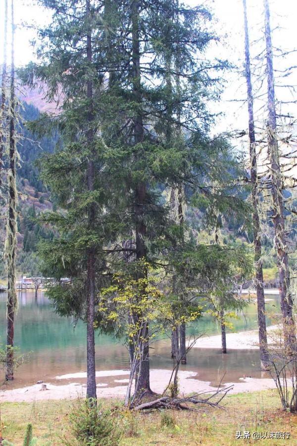 親測：四姑娘山的美景真的不輸國外！（附遊玩攻略）