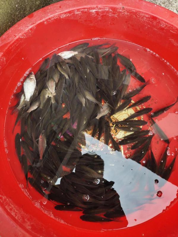 冬日釣魚快樂多