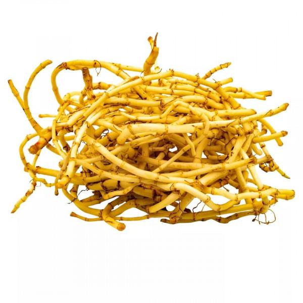 世界傳統醫藥日 | 藥食同源,傻傻分不清? 世界傳統醫藥日 | 藥食同源,傻傻分不清?