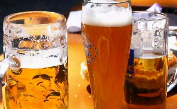 這4種植物黃葉的“病灶”不同，統一“下藥”，問題將更嚴重