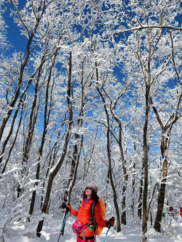 藍天飛花滿碧樹，蒼茫大地一抹紅