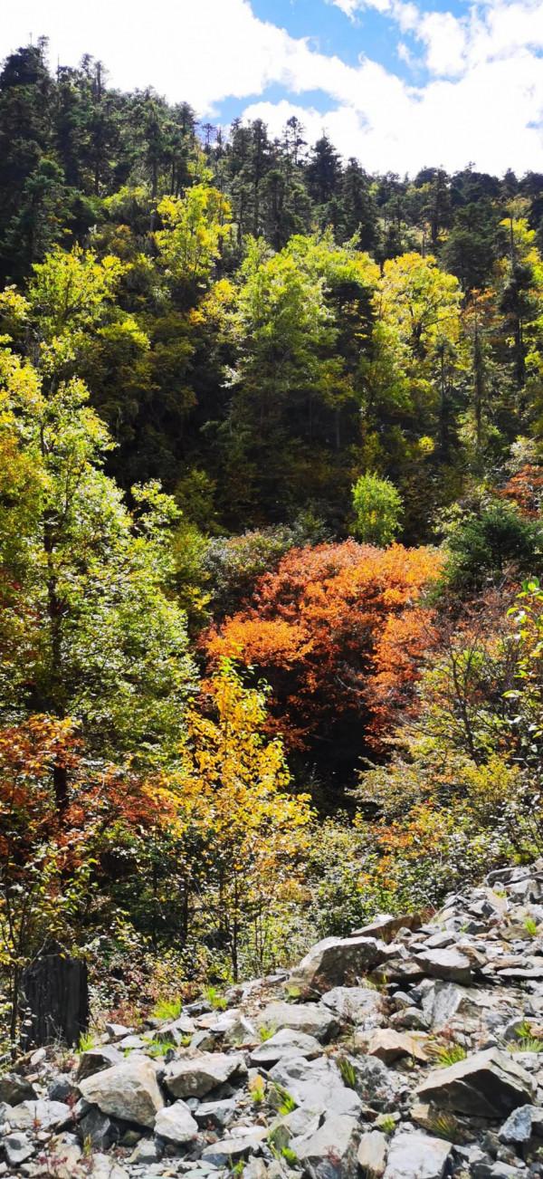 2021雲南遊-3 2021雲南遊-3