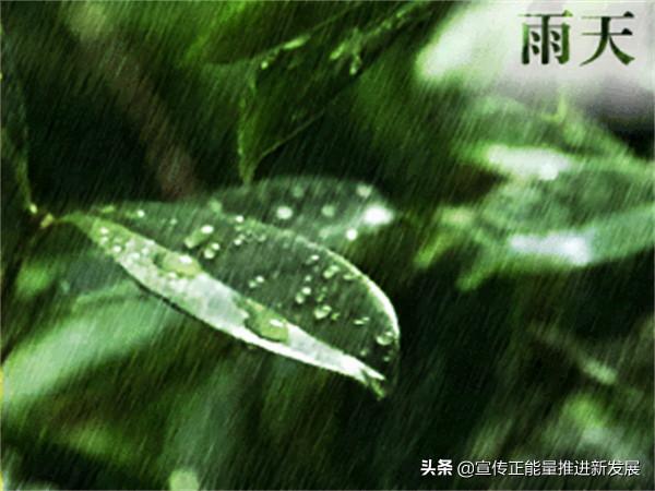 詩歌：秋雨有感