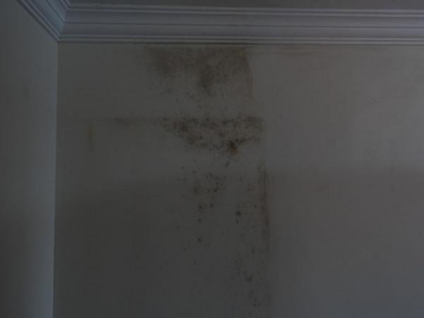 翻新牆面要注意些什麼？立邦重新整理教你牆面重新整理小技巧