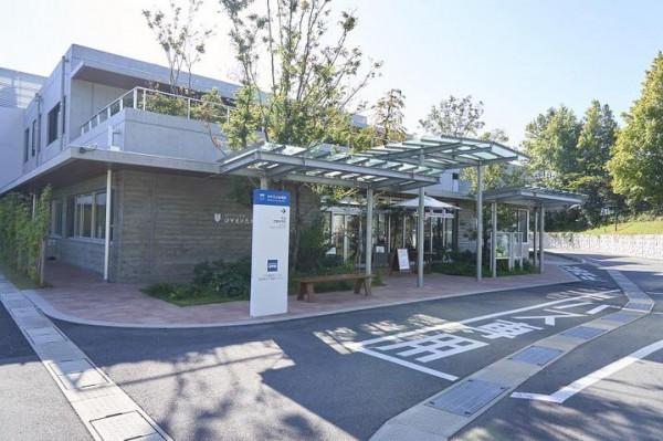 「日本」九州中部久留米-熊本-天草四日之旅