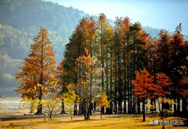 適合冬天出發的12條自駕路線，人少景美，來一場自駕之旅吧