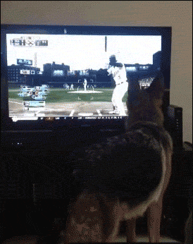 人類未解之謎:為什麼別人打遊戲總能五殺而你不行? 人類未解之謎:為什麼別人打遊戲總能五殺而你不行?