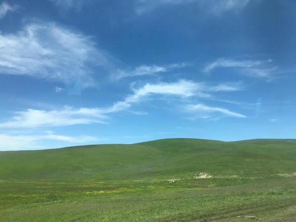 新疆之旅四：喀拉峻大草原