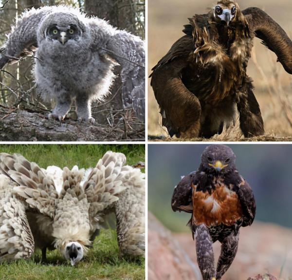 33張照片,剖開物體,或者換個角度看看!會發現又酷又有趣 33張照片,剖開物體,或者換個角度看看!會發現又酷又有趣