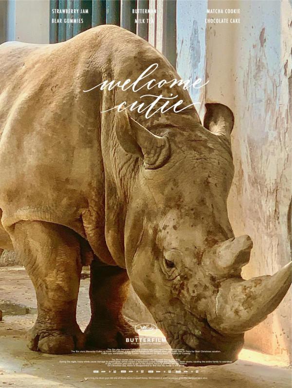 它們其實比你想象的更聰明