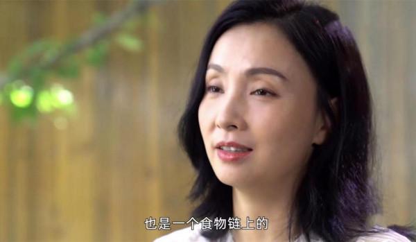 陶虹響應張靜初吃素,卻被網友發現穿皮草 陶虹響應張靜初吃素,卻被網友發現穿皮草