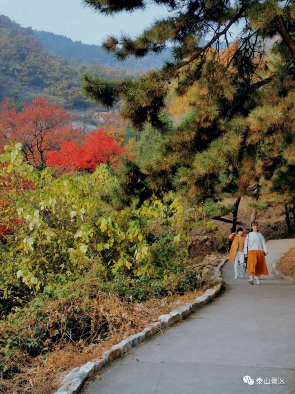 週末好去處，賞秋網紅打卡地！