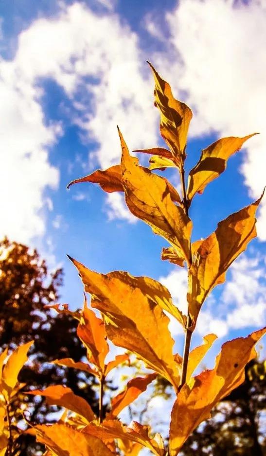 80尾女,未婚未育,裸辭1年,沒有規劃不求上進憑啥要求男的上進 80尾女,未婚未育,裸辭1年,沒有規劃不求上進憑啥要求男的上進
