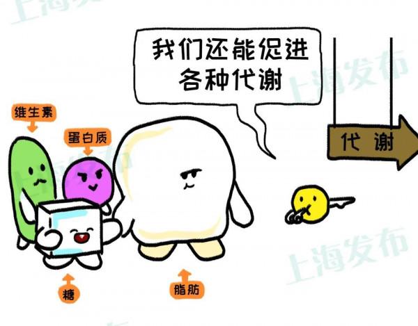 甲狀腺是人體路由器，生病對健康到底有什麼影響？