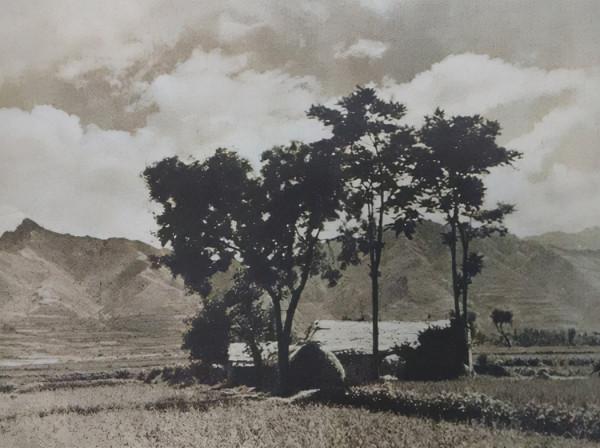 少女被押上刑場,一個本能的反應,卻讓她奇蹟般地死裡逃生 少女被押上刑場,一個本能的反應,卻讓她奇蹟般地死裡逃生