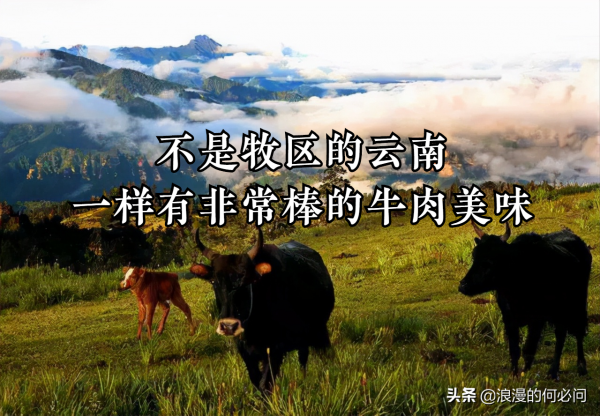 雲南的9大牛肉大菜，不是牧區的雲南，牛肉卻做得超級美味