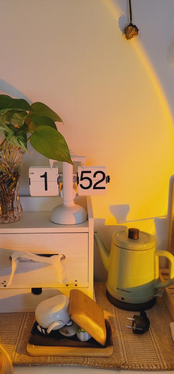 獨居6年，不想結婚，她把全屋擺滿各種綠植，意外收穫五千人關注