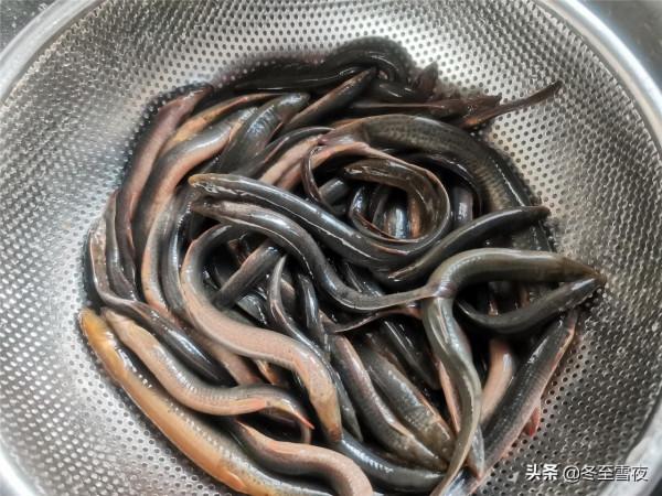 這個魚被贊為“水中人參”，教你東北做法，不煎不炸，鮮嫩可口