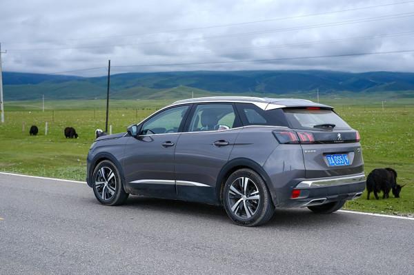 標緻4008環青海長測Day9：鳥島叫“蚊子島”，沿青海沿線達剛察！