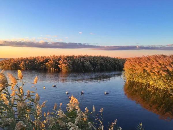 “大漠孤煙直,長河落日圓”,去看看王維筆下沙漠中的那個居延海 “大漠孤煙直,長河落日圓”,去看看王維筆下沙漠中的那個居延海