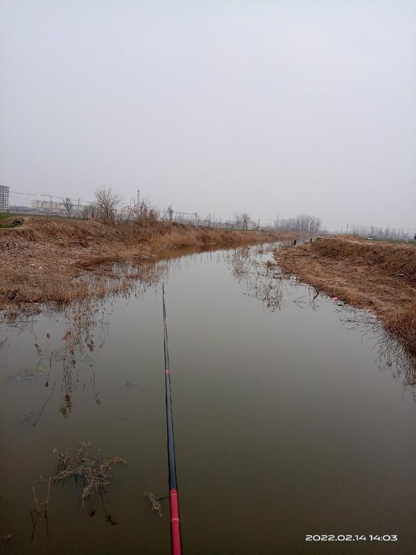都說降溫不適合釣魚，真的是這樣嗎？