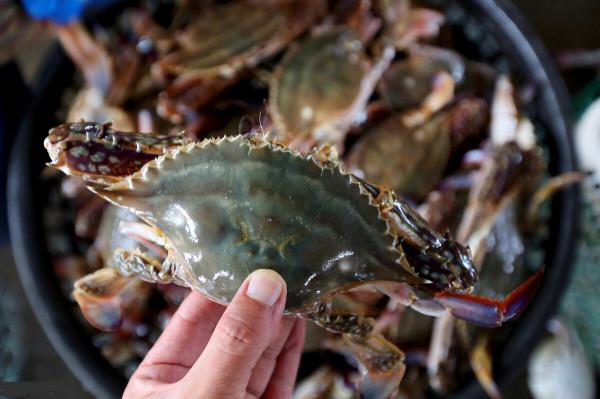 剛入秋吃螃蟹,內行人偏愛這3種,比吃大閘蟹過癮,膏肥肉鮮 剛入秋吃螃蟹,內行人偏愛這3種,比吃大閘蟹過癮,膏肥肉鮮